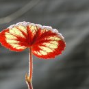 세계꽃식물원