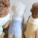 개린이집 이미지