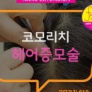 코모리치 보령센터