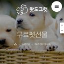 도도그 | 왓도그캣 무료 펫 선물 이벤트 후기｜강아지 유모차 사은품 실사용 리뷰