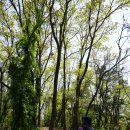 절부마을입구 이미지