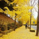 고절농장 | 『시조 세 편 2』 - 사설시조 ‘두터비 파리를 물고’ 아세요?