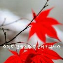 필SVC Daum카페