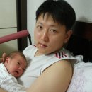 영환 Daum카페