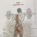 엑서사이즈 이미지