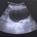 강남수내과의원 이미지