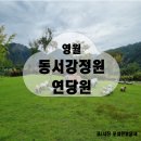 연당원화장실 | [영월명소] 영월동서강 정원연당원 후기