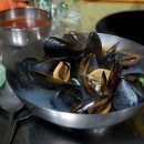 해물과조개 이미지