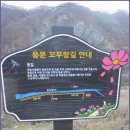 꼬부랑길 이미지