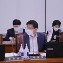 미미유통