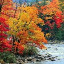 곱게 늙는 것은 축복입니다. 이미지