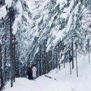 약수파크 이미지