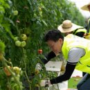 강태영 카카오 검색결과