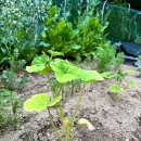 무럭이농장 이미지