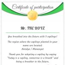 sapling donation🌱 이미지