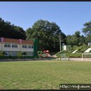 대월초교 이미지