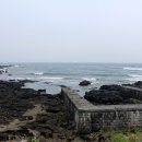 위미초등학교 이미지