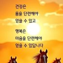 아이언 복싱짐 이미지