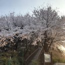 능이촌 이미지