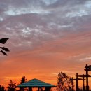 노벨리조트 이미지