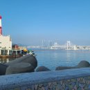 마린수중 이미지