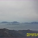 동두천-029 Daum카페