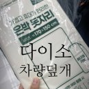 하나로자동차부분 | 겨울 출근 필수템! 다이소 차량덮개 자동차 성에 성애방지 커버 하나로 해결