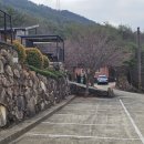산청패밀리