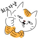 항아리묵은지김치찌개
