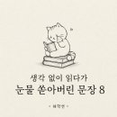 무심코 읽었다가 마음이 무너진 문장들📖 이미지