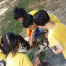 자연동산어린이집 이미지