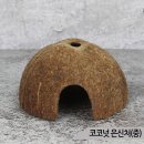 블루코코넛
