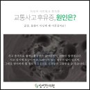 (유)삼성교통 이미지