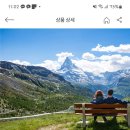 [서유럽 2탄] 서유럽 패키지 고르기(모두투어, 하나투어, 온라인투어, 교원투어 비교)