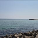 암파스타레속초 이미지