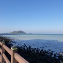 꾸꾸제주