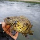 단양농협주유소 이미지