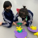 국가대표 샛별태권도장 이미지