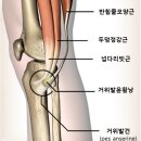 거위발건염 치료 기간과 증상 원인 | 서울 사당 재활의학과 의원 | 전문의 작성