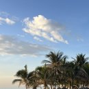 고양이 세수_설렘 이미지