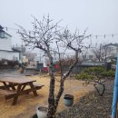 벨루스로즈 펜션 이미지