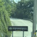 역대급이었던 여수 두랭이해변오토캠핑장 상세 후기