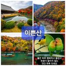 동삼3동행정복지센터 | 동삼3동행정복지센터 스마트폰 활용교육 5회차 ~6회차