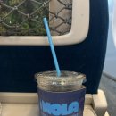 스타식자재마트 ㈜ | 8월의 포항 여행 개인풀이 있는 풀빌라 스타케이프