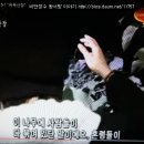 계곡민박 Daum카페