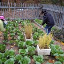 신방학초교 이미지