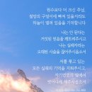 새소망