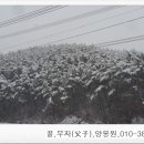 부자양봉원 이미지