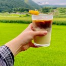 청천공원 | 충북 괴산 카페 TV 방영 옥수수라떼 쉼터청천