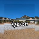 영부교통 | [경복궁]종로 여행 추천!청와대 관람 예약 및 후기🫡